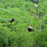 Outdoor and Zipline Adventure in Baja California - Analyzing the Value: Price and Experience