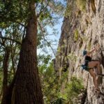 Outdoor climbing for beginners - Why Travelers Keep Coming Back: Real Review Highlights