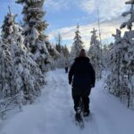 Överkalix - Lapland : Full-Day Snowshoe Tour with Lunch - Who Should Consider This Tour?