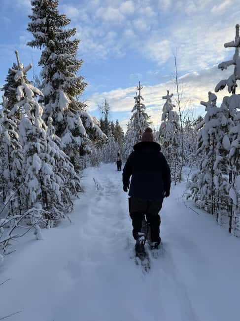Överkalix - Lapland : Full-Day Snowshoe Tour with Lunch - Who Should Consider This Tour?