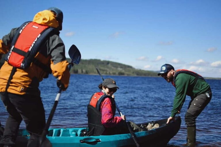 Överkalix - Lapland : Midnight Sun Kayaking Tour with Dinner - Who Is This Tour Best For?