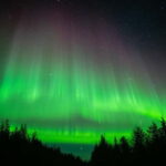 Överkalix - Lapland : Snowmobile Tour with Northern Lights - The Snowmobiling Ride