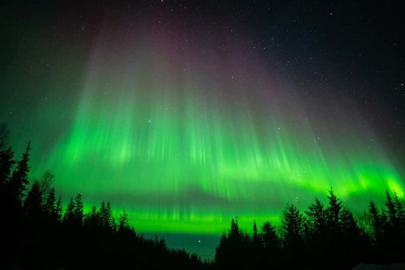 Överkalix - Lapland : Snowmobile Tour with Northern Lights - The Snowmobiling Ride