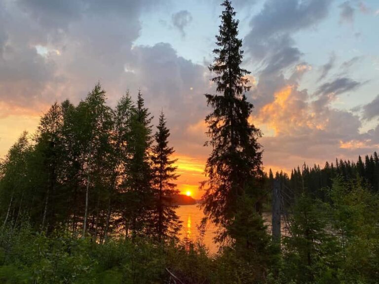 Överkalix - Lapland : Summer Hike and Midnight Sun Dinner - Practicalities and What’s Included