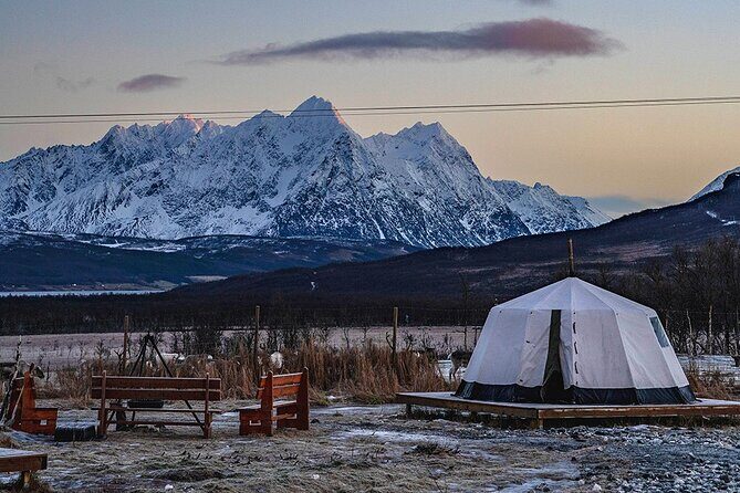 Overnight Stay in Lavvu and Reindeer Feeding - How the Price Reflects Value