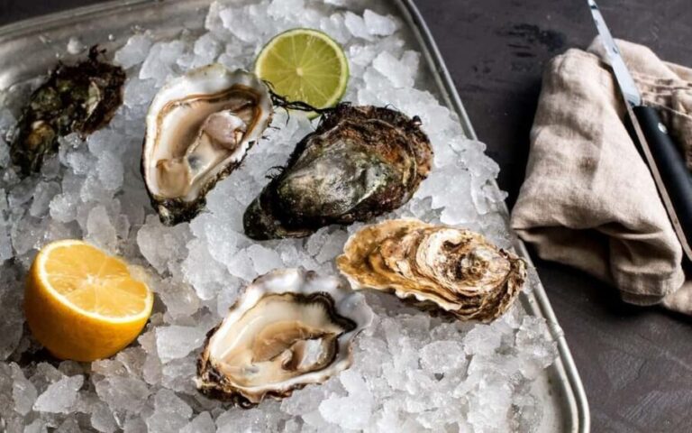 Oyster day in Mali Ston - An In-Depth Look at the Oyster Day Tour