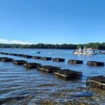 Oyster Tasting and Kayak Tour - The Real Experience: What Travelers Say