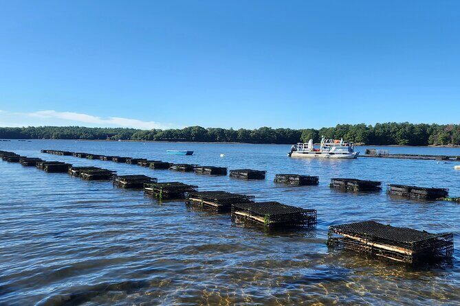 Oyster Tasting and Kayak Tour - The Real Experience: What Travelers Say