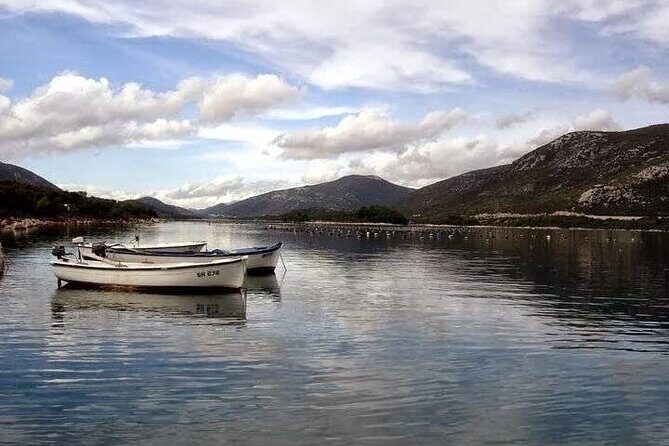 Oysters and mussels tasting with wine in Ston and Peljeac - Key Points