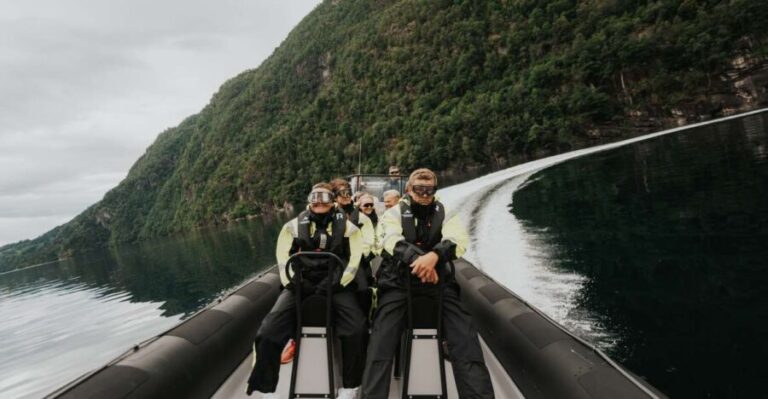 Øystese: Hardangerfjord RIB safari to the Fyksesund branch - Exploring the Experience