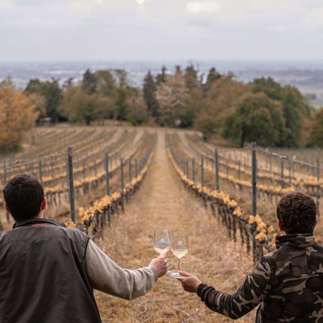 Ozzano Emilia: Guided Cellar Walking Tour with Wine Tasting - What to Expect on the Tour