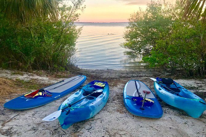 Paddle Board or Kayak Eco Dolphin Manatee Tour - The Value of This Experience