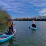 Paddle Surf Tour: Historic Seville, Triana and La Cartuja - Price and Value