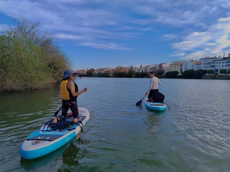 Paddle Surf Tour: Historic Seville, Triana and La Cartuja - Price and Value