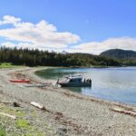 Paddle with Whales Kayak Adventure Juneau - What to Keep in Mind