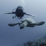 PADI Discover Scuba Diving - What Makes This Tour Stand Out