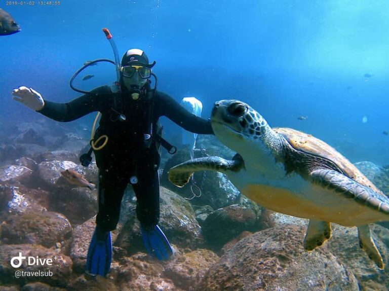 PADI Discover Scuba Diving Course in Tenerife - Who Is This Tour Best For?