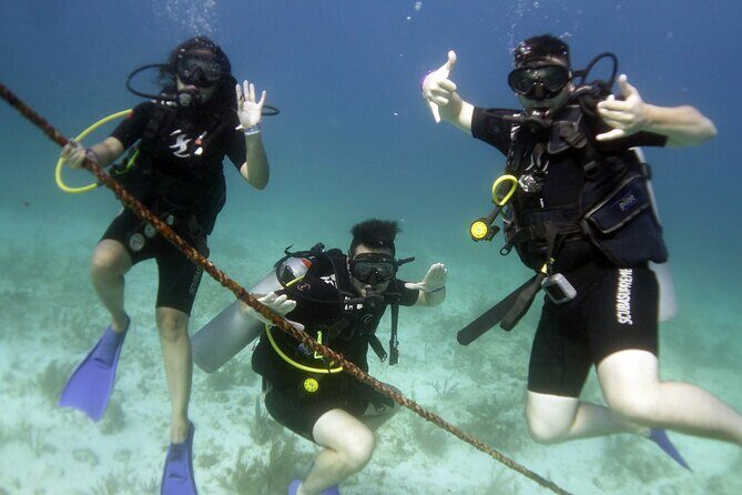 PADI Discover Scuba Diving for divers without certification - Price and Value: Is It Worth It?