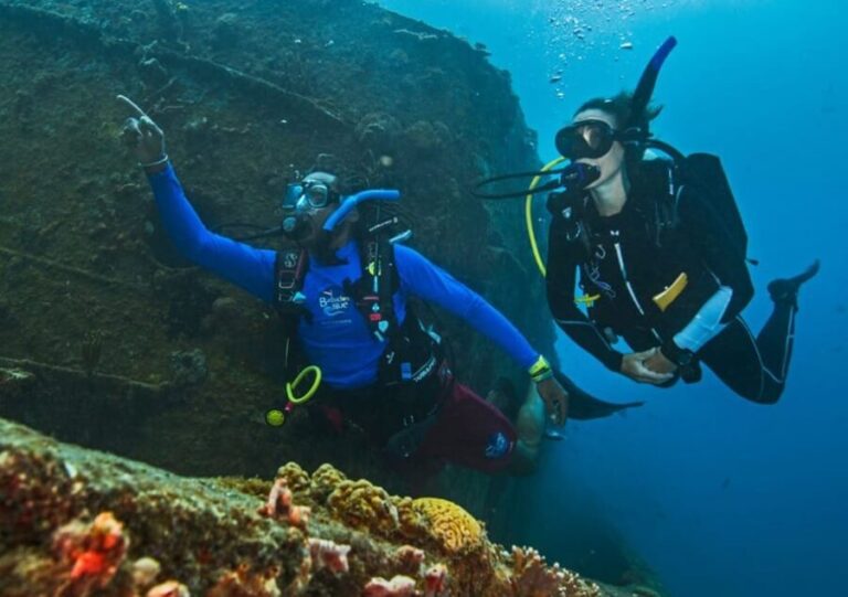 PADI Discover Scuba Diving Los Cancajos La Palma - What to Expect from the Tour