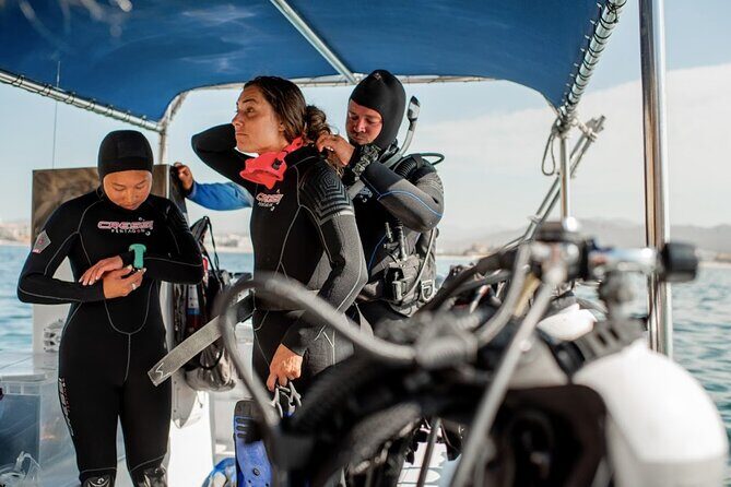 PADI Open Water Course in Cabo San Lucas - The Ocean Dives — What to Expect
