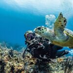 PADI Open Water Diver Course in Playa del Carmen - Practical Details and Tips