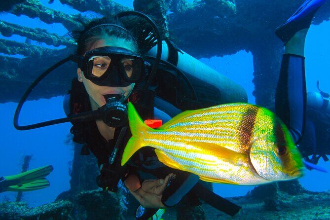 PADI Open Water Diving Certification Course Activity - Real Traveler Insights