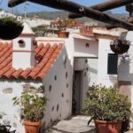 Paella Cooking Class in Tenerife Ancient Canarian Village - Transport and Logistics