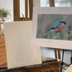 Paint and Sip in kent - The Setting and Atmosphere