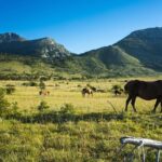 Paklenica National Park Admission Ticket - A Closer Look at the Itinerary and Experience