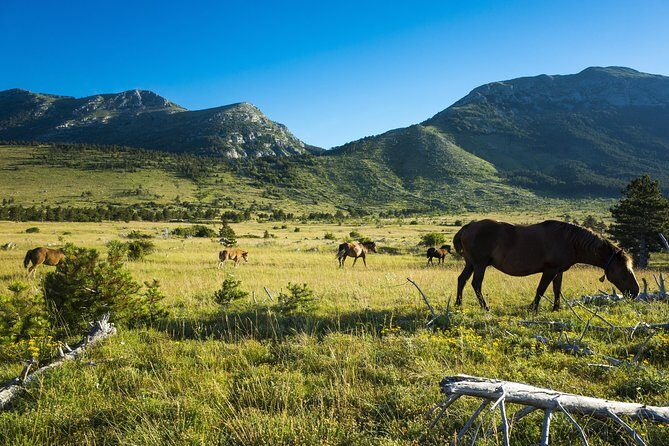 Paklenica National Park Admission Ticket - A Closer Look at the Itinerary and Experience