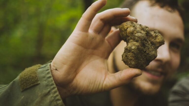 Paladini: Truffle Hunting Tour with 3-Course Tasting Menu - An In-Depth Look at the Truffle Hunting Experience in Paladini