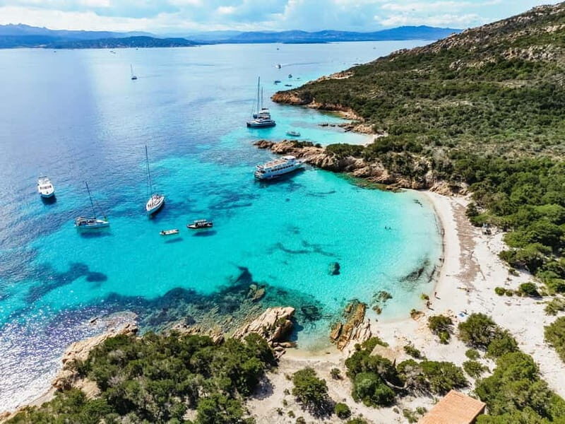 Palau or La Maddalena: 4-hour RIB tour of the archipelago - A Closer Look at the Experience