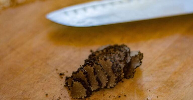 Palazzolo Acreide: Truffle Hunt with 5-Course Meal and Wine - The Culinary Experience and the Meal