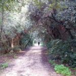 Palermo: Day trip to Monte Pellegrino - What to Expect from the Monte Pellegrino Day Trip