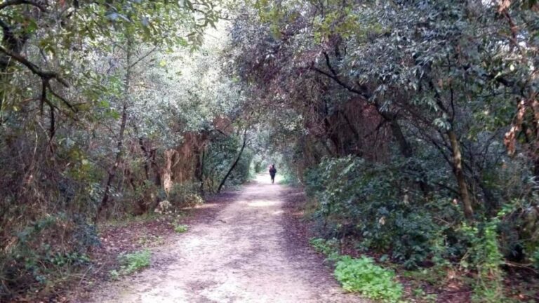 Palermo: Day trip to Monte Pellegrino - What to Expect from the Monte Pellegrino Day Trip