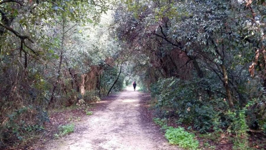 Palermo: Day trip to Monte Pellegrino - What to Expect from the Monte Pellegrino Day Trip