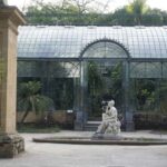 Palermo: Guided Tour of the Botanical Garden - A Closer Look at What Makes the Tour Special