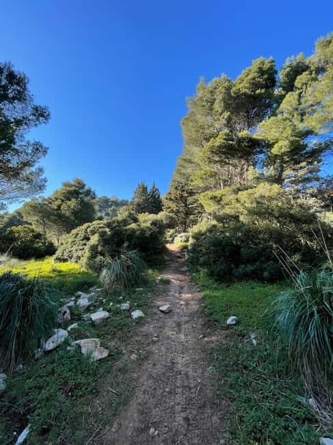 Palermo: Monte Gallo Trekking Tour with Picnic - The Experience and Group Dynamics