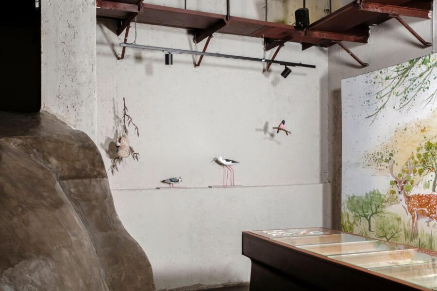 Palermo: sensorial experience of nature and ecology - Who Should Consider This Experience?