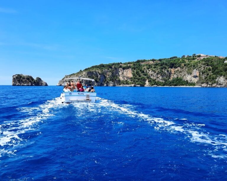 Palinuro: Boat Trip along the Coast & Blue Grotto Visit - What’s Included and What to Consider
