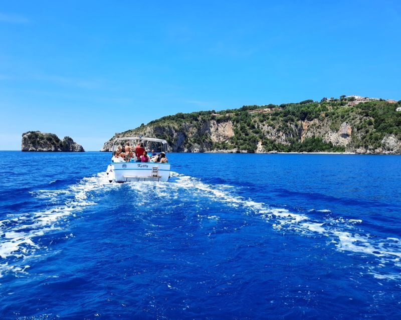 Palinuro: Boat Trip along the Coast & Blue Grotto Visit - What’s Included and What to Consider