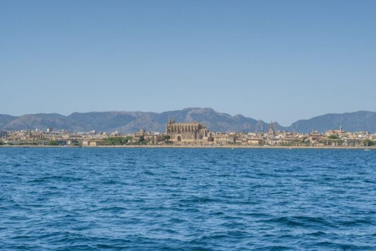 Palma de Mallorca: 5-Hour Catamaran Cruise with Lunch & Swim - Who Is This Tour Best For?