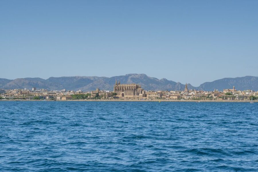 Palma de Mallorca: 5-Hour Catamaran Cruise with Lunch & Swim - Who Is This Tour Best For?