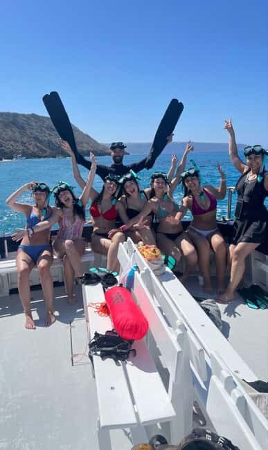 Palma de Mallorca: Cala Vella Snorkeling Adventure - The Marine Reserve and Cala Vellas Natural Beauty