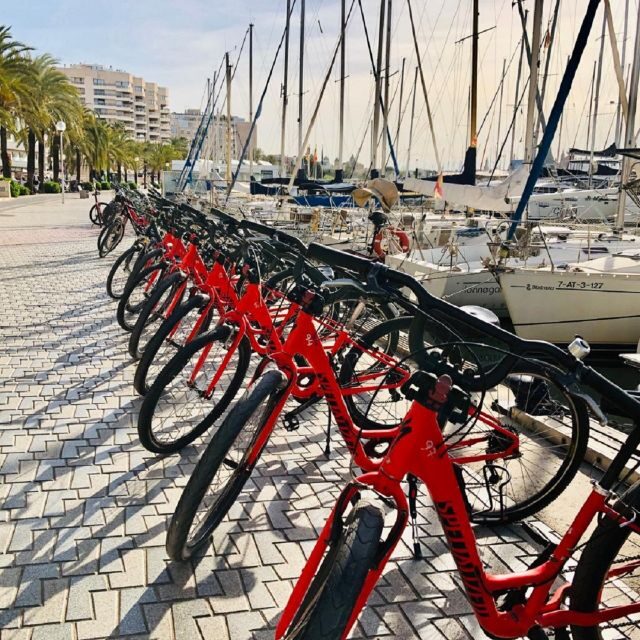 Palma de Mallorca: Guided Bicycle Tour with Tapas & a Drink - An In-Depth Look at the Palma Bicycle Tour