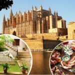 Palma de Mallorca: Guided Tour of the Old Town - Who Is This Tour Best For?