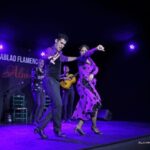 Palma: Flamenco Show at Tablao Flamenco Alma with Drink - The Venue and Comfort