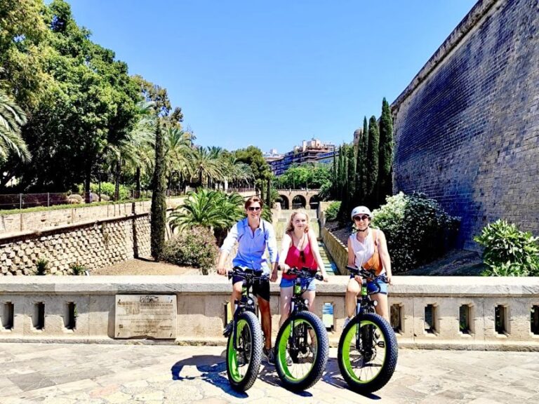 Palma: Guided City Tour with a Fat Tire E-Bike - Who Is This Tour Best Suited For?