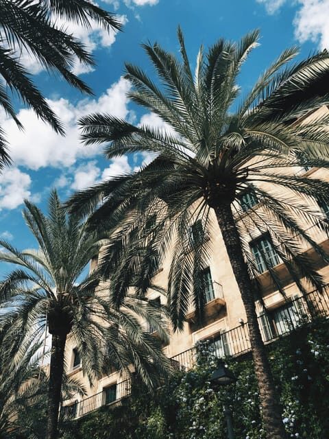 Palma: "History & Beauty" Eco-Friendly E-Scooter Tour - The Experience in Detail