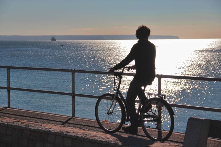 Palma Shore Excursion Bike Tour (Transfer Included) - Breaking Down the Itinerary